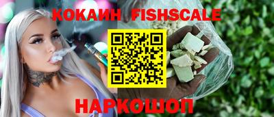 стаф Кингисепп