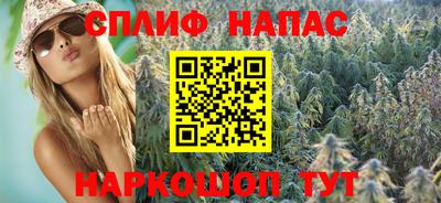 стаф Кингисепп
