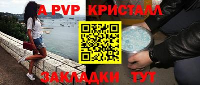 стаф Кингисепп