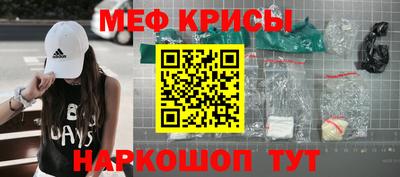 стаф Кингисепп
