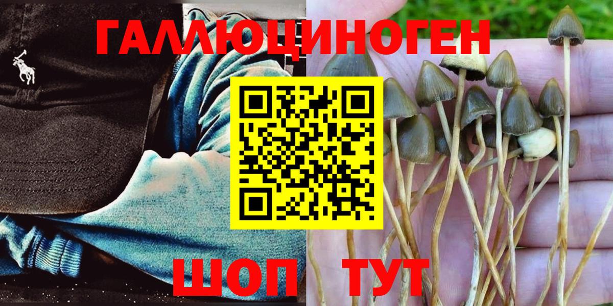 Псилоцибиновые грибы мицелий  Вход с VPN  Кисловодск 