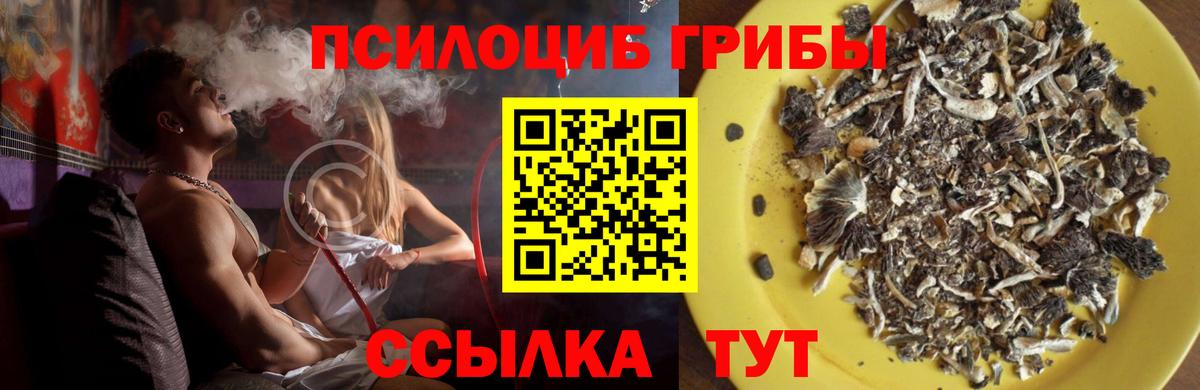 Псилоцибиновые грибы прущие грибы Кисловодск